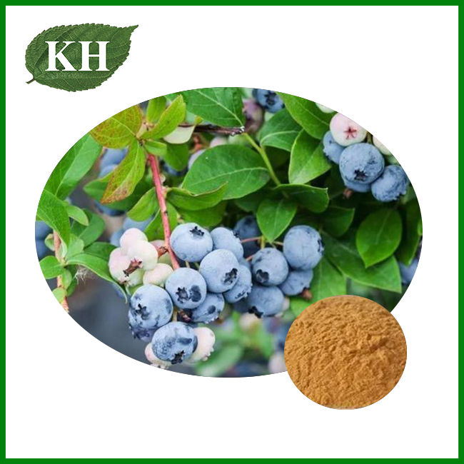 Blueberry Leaf Extract